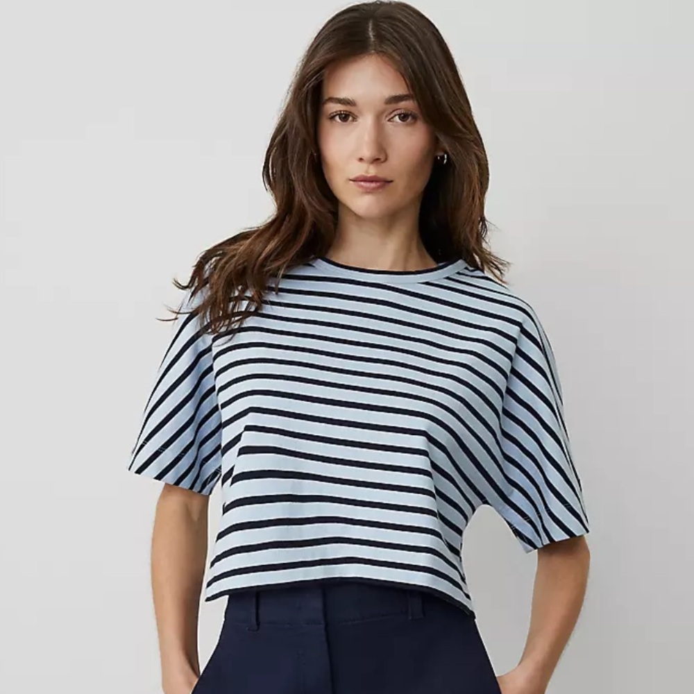 NWT Ann Taylor Weekend Collection Striped Dolman Tee